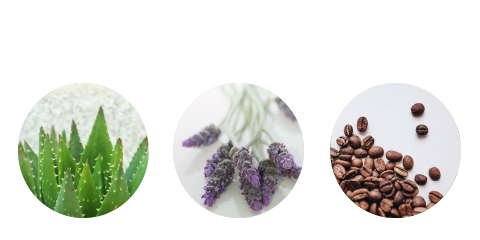 Ingredients mobile 0bcc5ef82911287d1c3468bb0f007e1a1485b7dd84de190bcf1d66a94cf92d8a